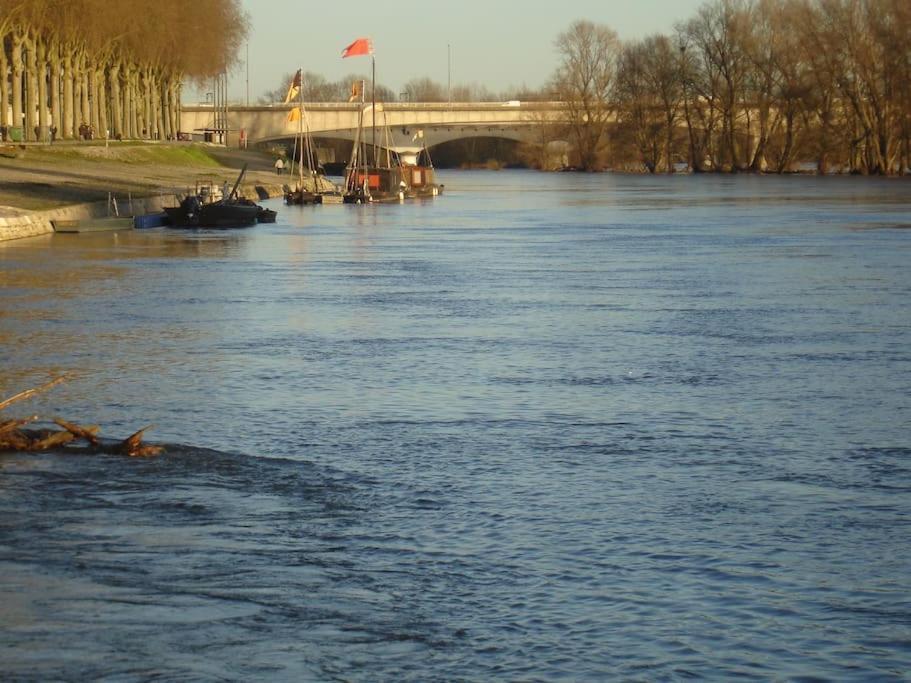 Appart Gite Les Oiseaux- Face Loire Quai Du Chatelet Орлеан Экстерьер фото